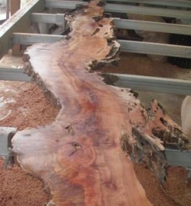 Tasmanian Native Timbers